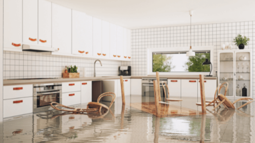 Water Disaster Restoration Technicians