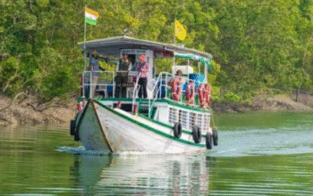 sundarban package