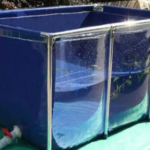 floating pond filter