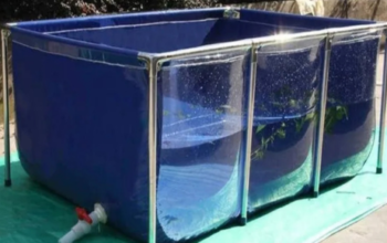 floating pond filter