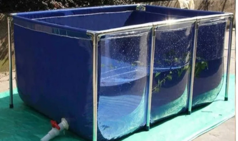 How to Keep Your Pond Healthy Without Overthinking It